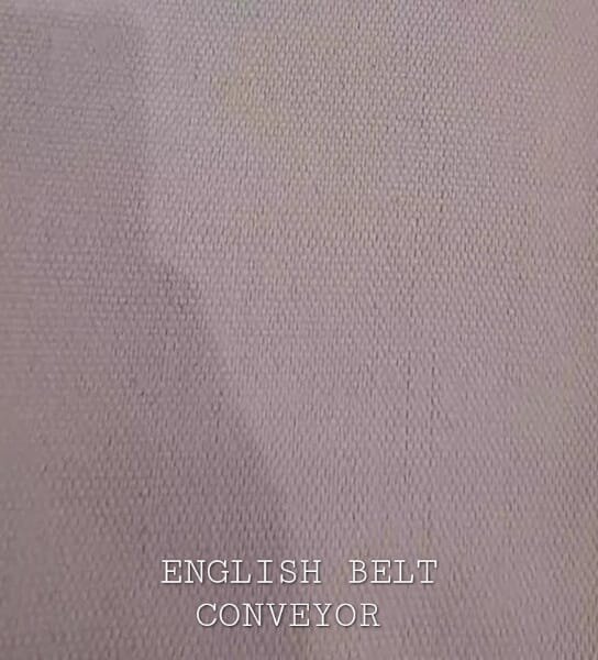 Belt Conveyor(for Biscuits factory)